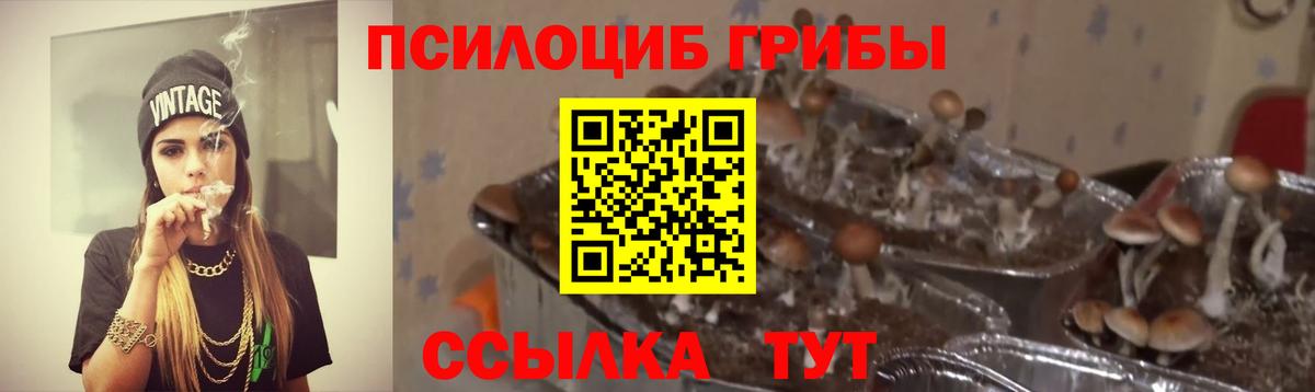 Псилоцибиновые грибы мицелий  Вход с VPN  Миллерово 